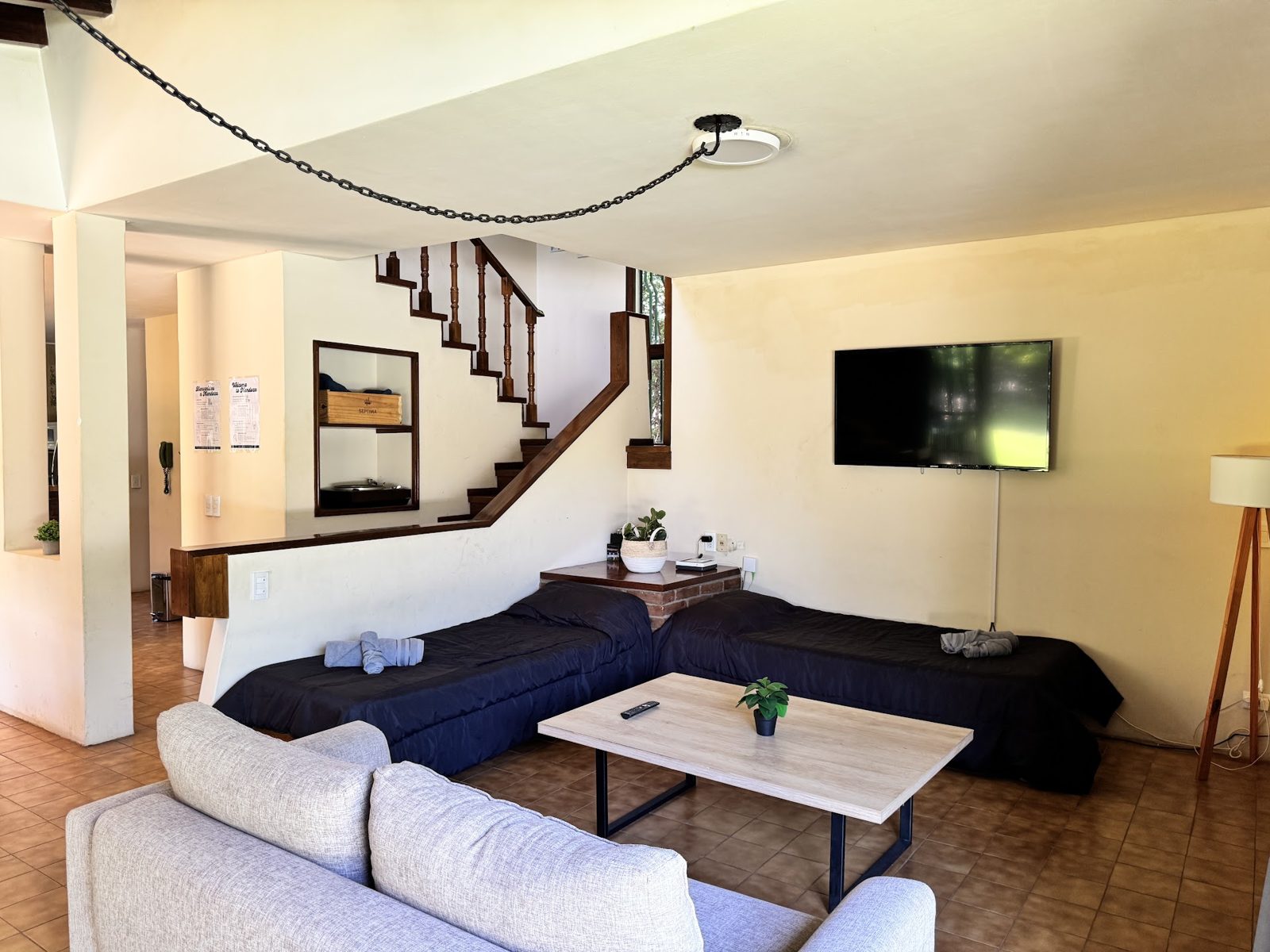 Living con TV
